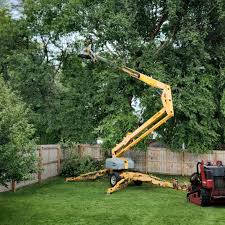 Best Tree Preservation Services  in Mino Tassajara, CA